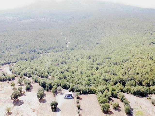 Seklice, Odunpazarı içerisinde satılık Arsa