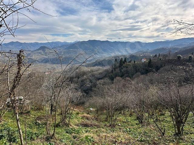 Camili, Giresun Merkez içerisinde satılık mülk