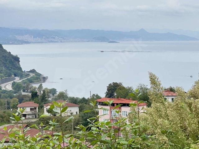 Düzköy, Keşap içerisinde satılık mülk