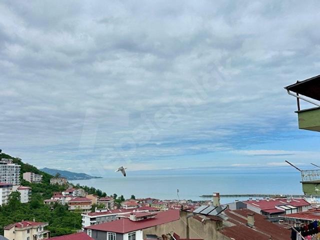Nizamiye, Giresun Merkez içerisinde satılık Arsa