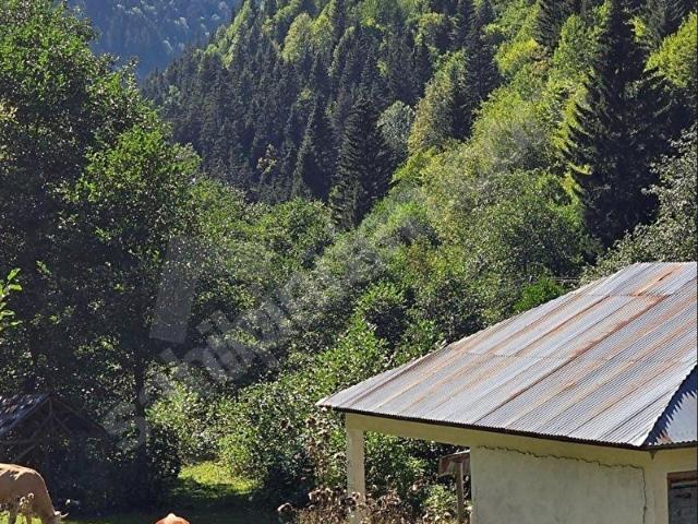 Dereli, Giresun içerisinde satılık Arsa