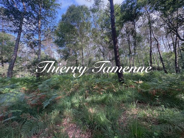 Terrain vente à France métropolitaine, Escalans