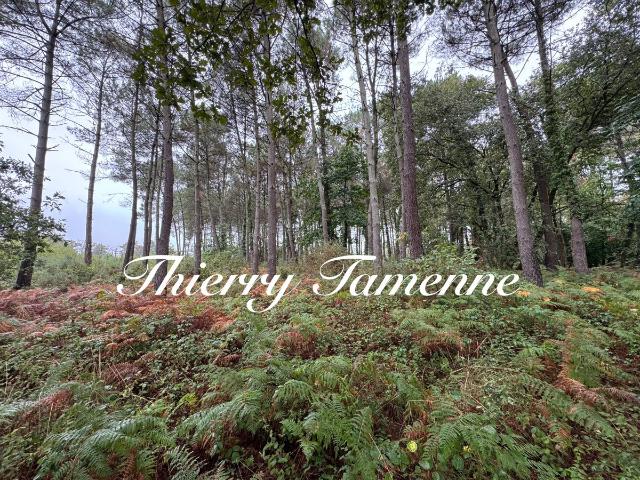 Terrain vente à France métropolitaine, Escalans