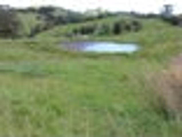 Land for sale in Paparoa, Northland