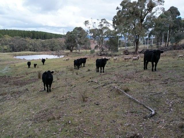 Cottage for sale in New South Wales
