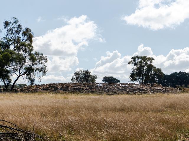 Cottage for sale in Elong Elong, New South Wales