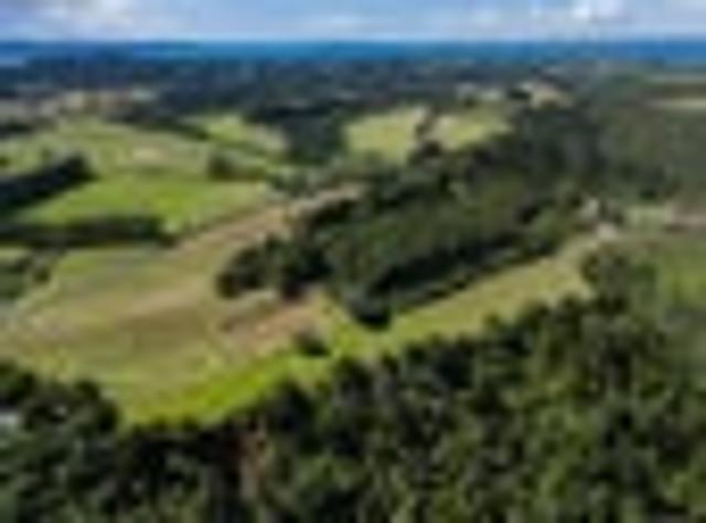 Land for sale in Awhitu