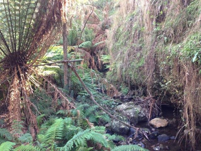 Land for sale in Cathcart, New South Wales