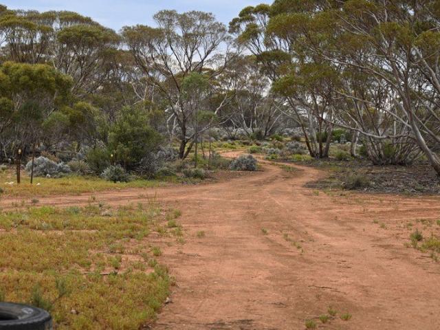 Land for sale in Morgan, Mid Murray Council