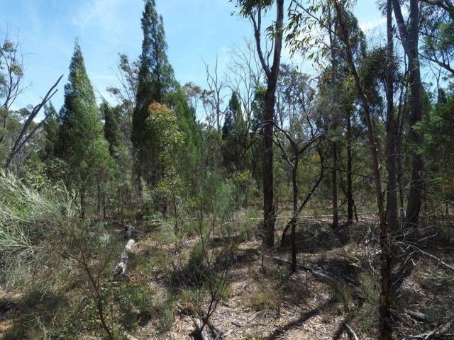 Land for sale in Warialda, New South Wales