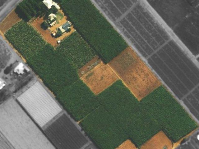 House for sale in South Plantations, Western Australia