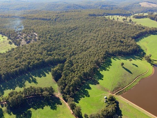 Land for sale in Quinninup, Western Australia