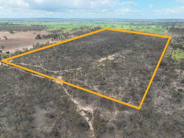 Cottage for sale in St Arnaud, Victoria