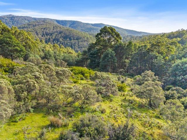 Land for sale in Nicholls Rivulet, Tasmania