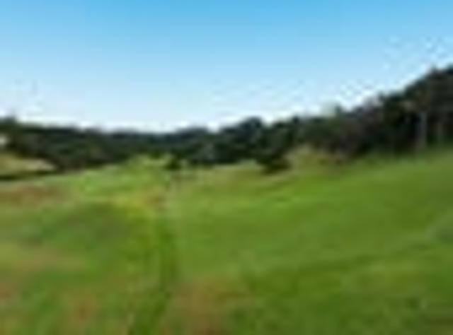 Land for sale in Awhitu