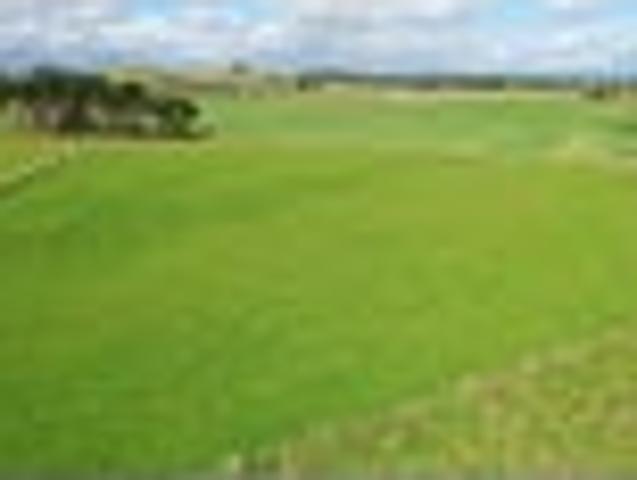 Land for sale in Tararua District