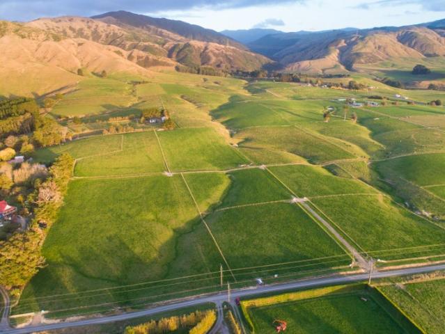 Land for sale in Horowhenua District