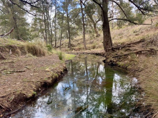 Cottage for sale in Sofala, New South Wales