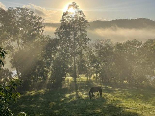 House for sale in Ross Creek, Queensland