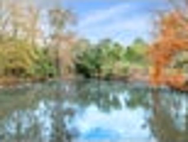 Land for sale in Awhitu, Oroua County