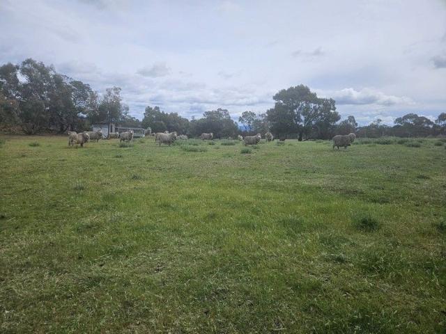 Land for sale in Swansea, Glamorgan-Spring Bay