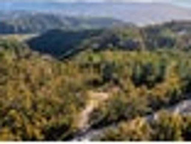 Land for sale in Tasman