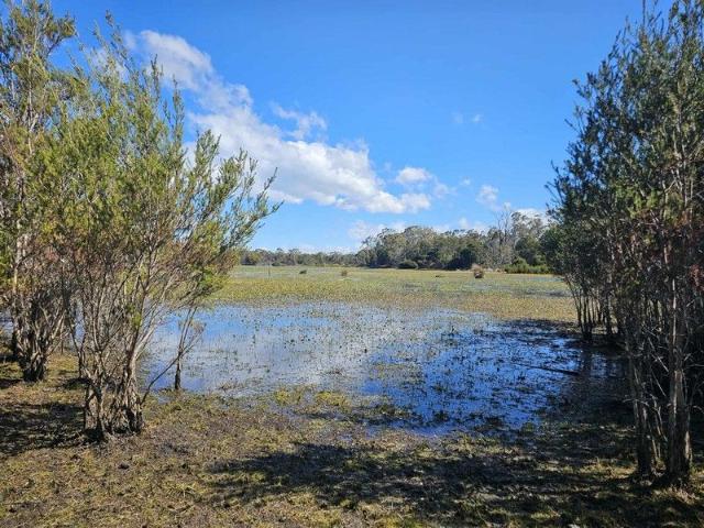Land for sale in Glamorgan Vale, Tasmania