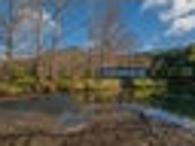 Land for sale in Waikato