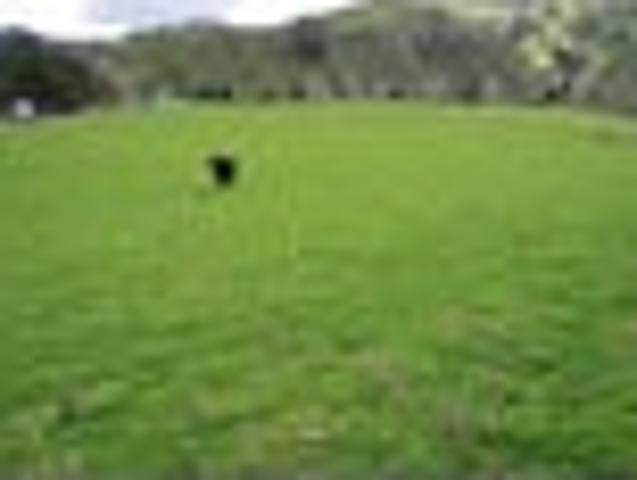House for sale in Taranaki