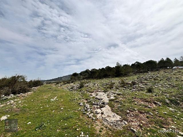Mezitli, Mersin içerisinde satılık mülk