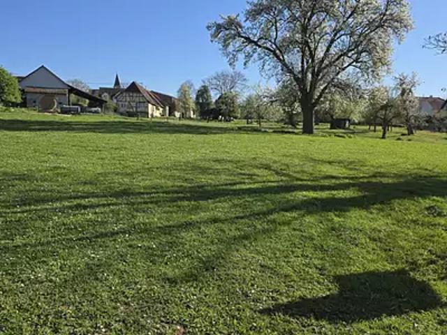 Terrain vente à Mulhouse, Eschentzwiller