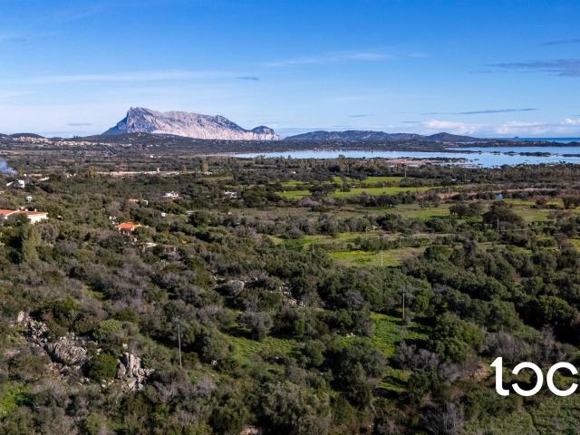 Casa in vendita a Puntaldia, Sardigna/Sardegna