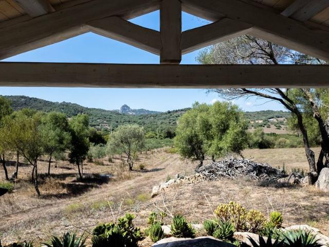 Villa Indipendente in vendita a San Pantaleo