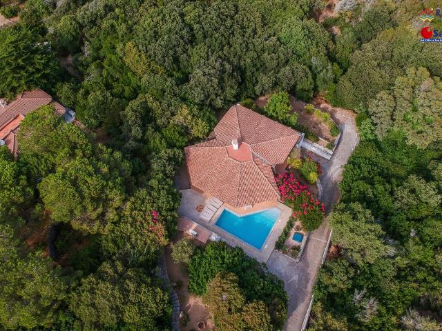 Villa Indipendente in vendita a Portobello di Gallura, Aglientu