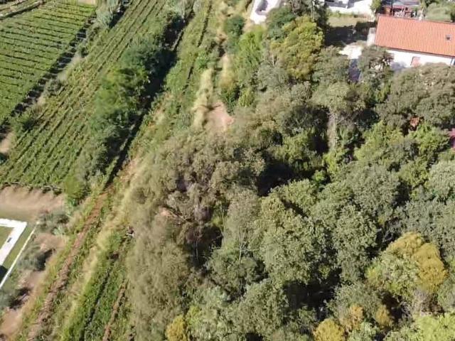 Villa Indipendente in vendita a Corrubbio di Negarine, San Pietro In Cariano