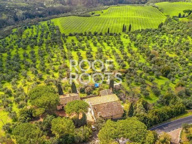 Villa Indipendente in vendita a San Martino alla Palma, Scandicci