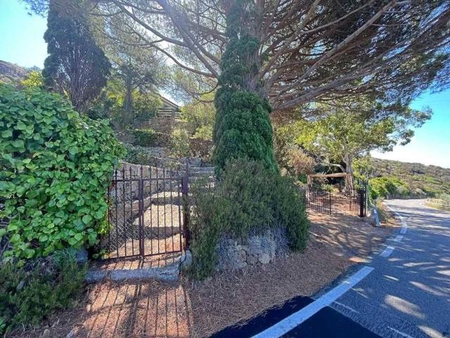 Villa Indipendente in vendita a Isola del Giglio, Giglio Campese