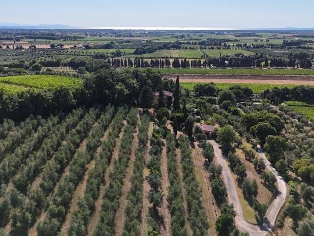 Villa Indipendente in vendita a Bolgheri, Toscana
