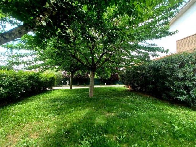 Villa Indipendente in vendita a Nuovo Circondario Imolese, Medicina