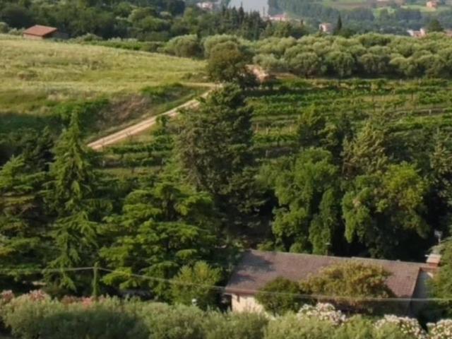 Villa Indipendente in vendita a Parona, Verona
