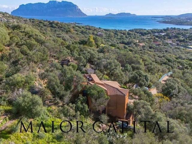 Villa Indipendente in vendita a San Pantaleo, Sardigna/Sardegna