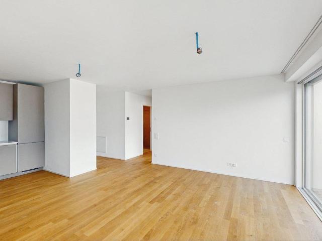 Apartment mieten in Locarno Monti, Locarno