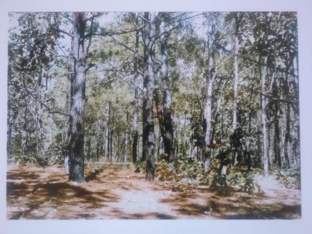Terreno en venta en Ixtlán del Río, Nayarit