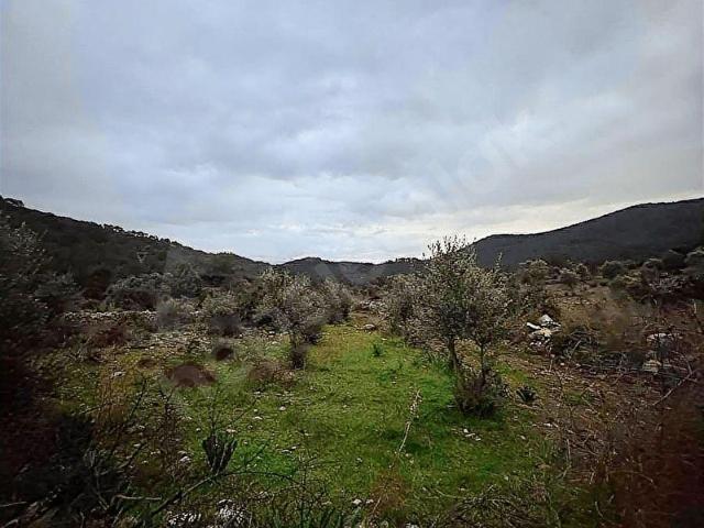 Fethiye, Muğla içerisinde satılık Arsa