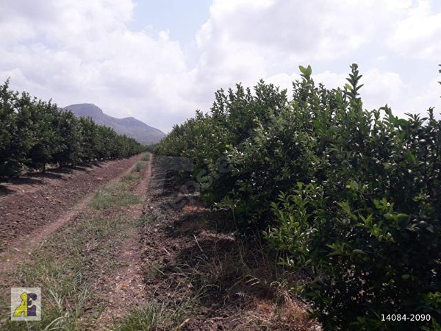 Esenler, Yüreğir içerisinde satılık mülk