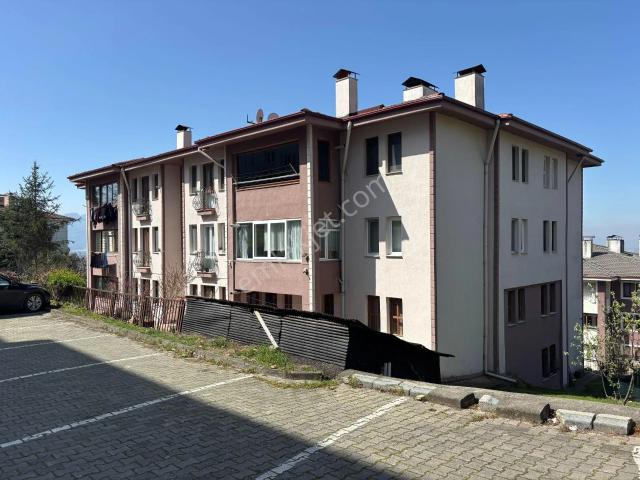 Düzce Merkez, Düzce içerisinde satılık mülk