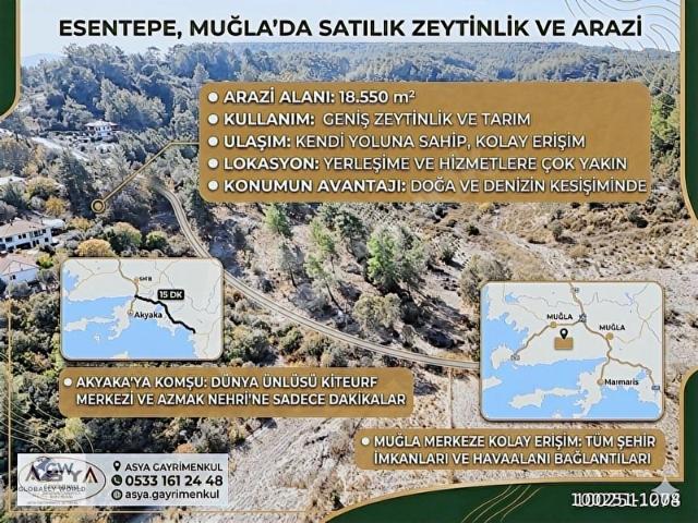 Ula, Muğla içerisinde satılık mülk