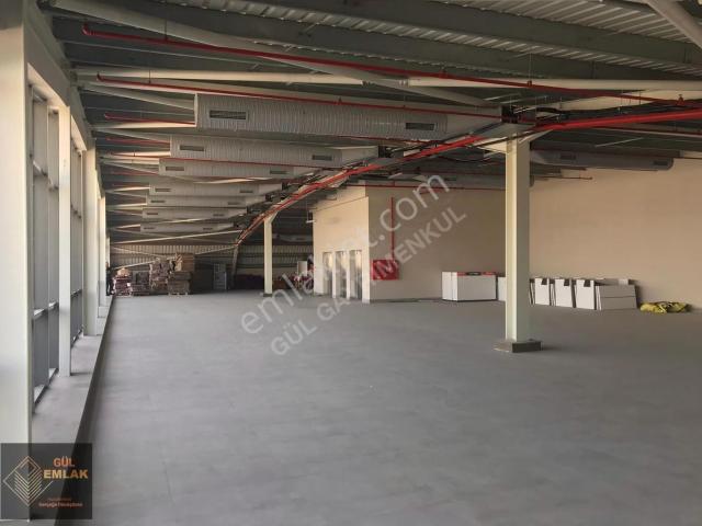 İstanbul içerisinde kiralık mülk