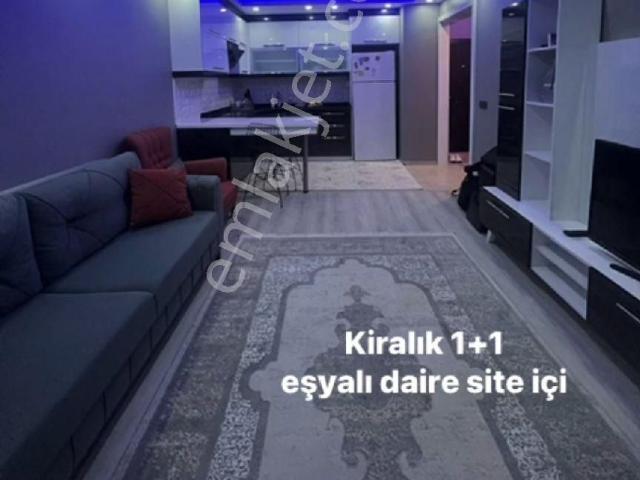 İstanbul içerisinde kiralık mülk