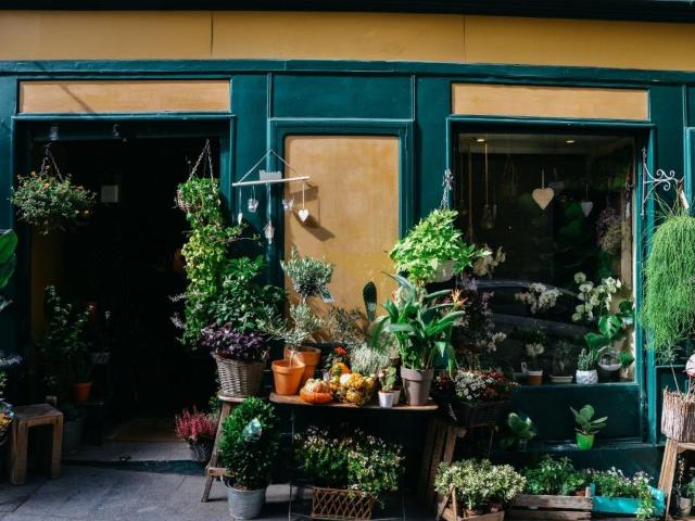 Locale Commerciale in affitto a Livorno